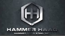 sponsor hammer haag going home clearwater fl